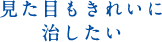 見た目もきれいに直したい