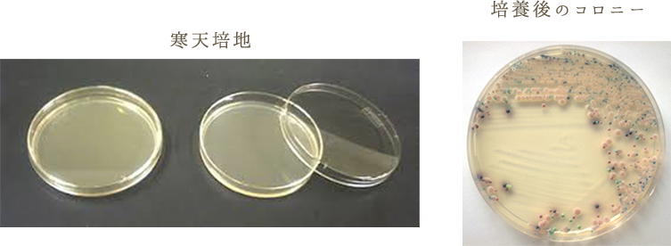 病理検診による診断